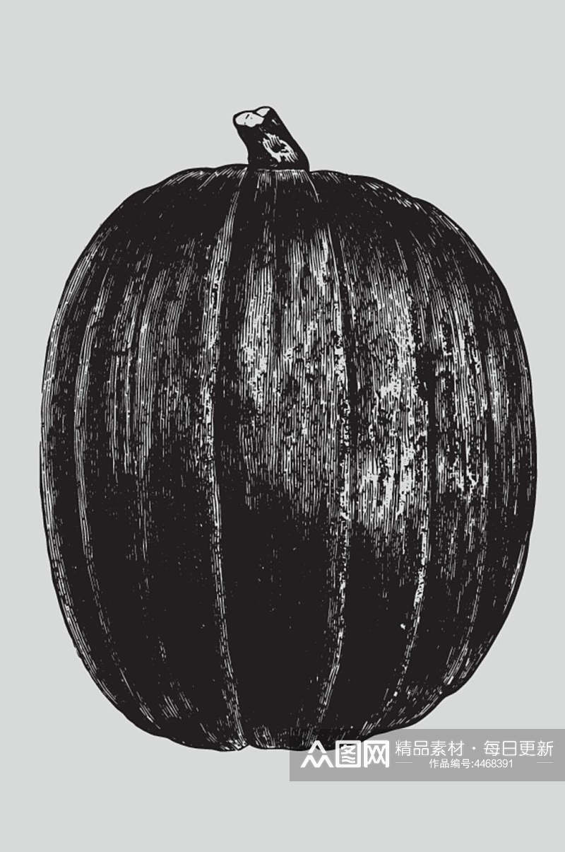椭圆黑色手绘植物蔬菜素描矢量素材素材