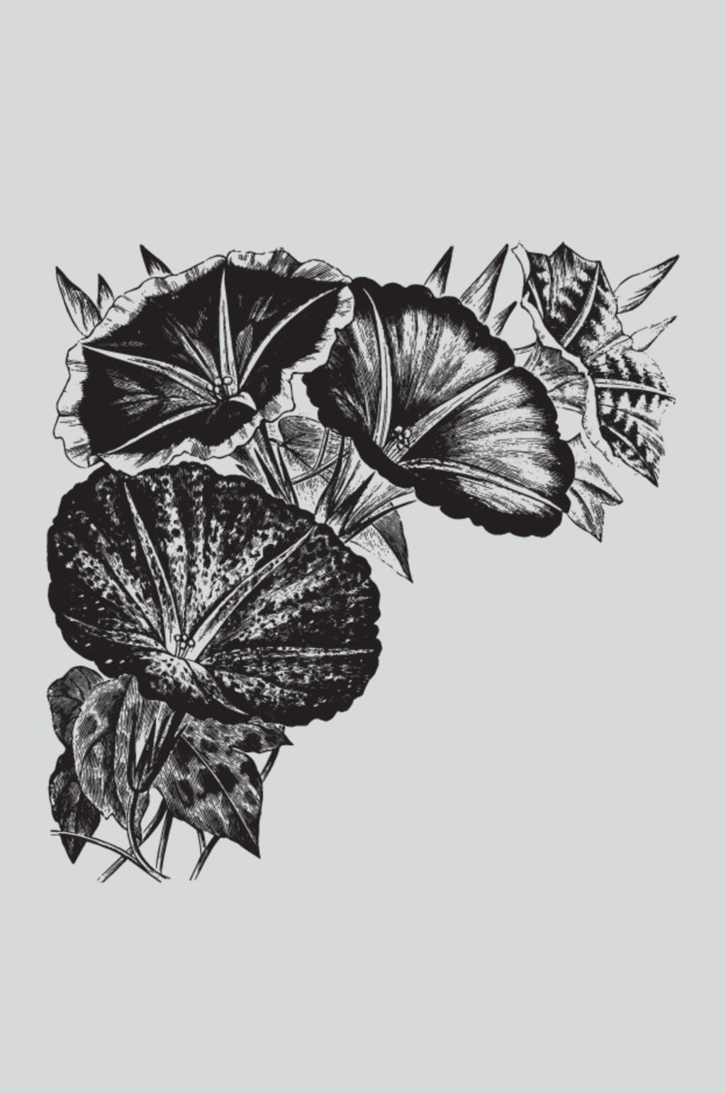 喇叭花黑色植物蔬菜素描矢量素材素材
