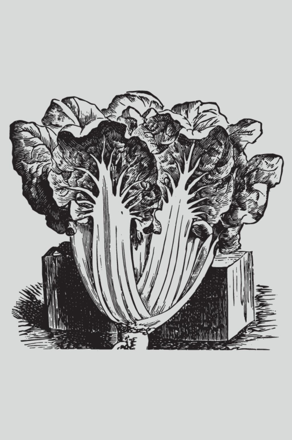 黑色叶子简约植物蔬菜素描矢量素材素材