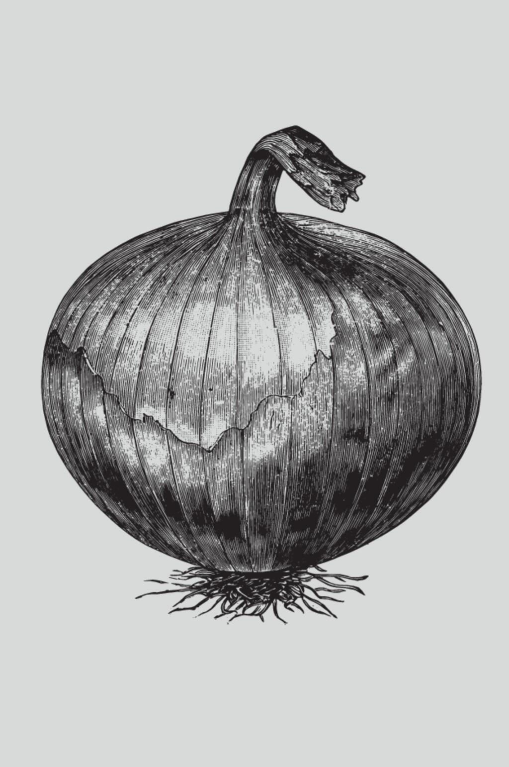 手绘黑色菜根植物蔬菜素描矢量素材素材