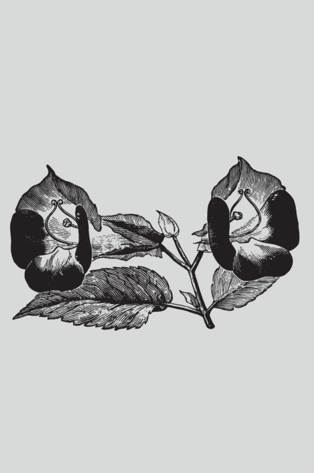 花卉植物蔬菜素描矢量素材素材