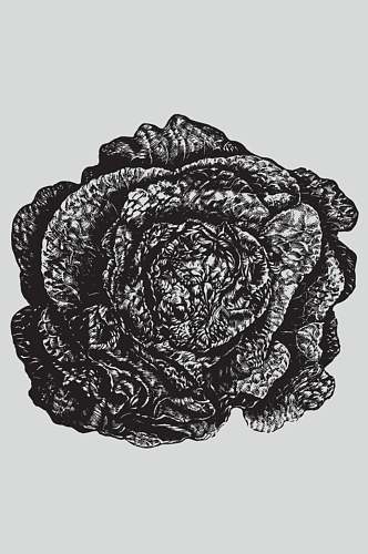 纹理黑色手绘植物蔬菜素描矢量素材