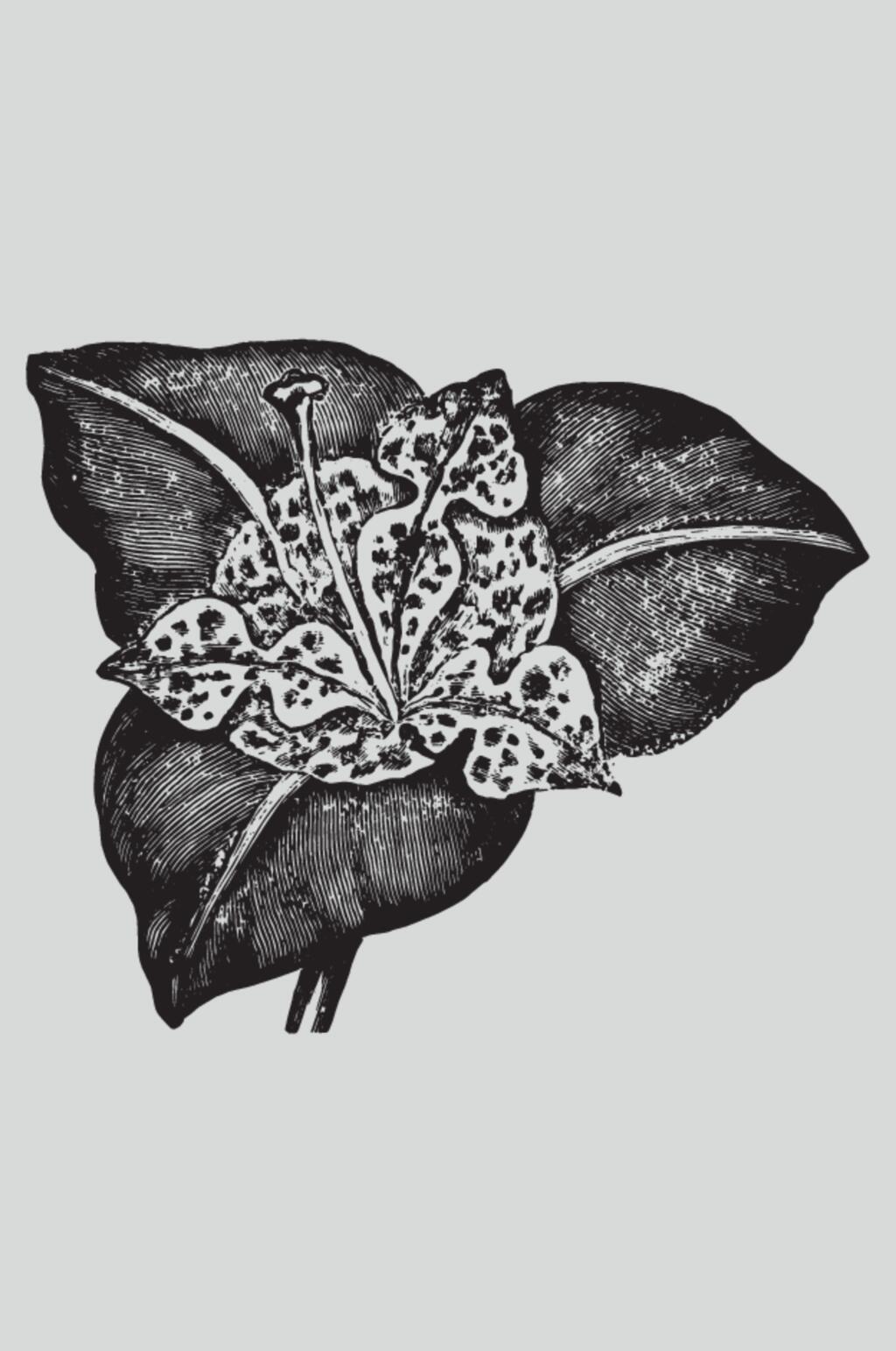 时尚叶子黑色植物蔬菜素描矢量素材素材