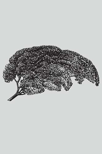 树枝黑色简约植物蔬菜素描矢量素材