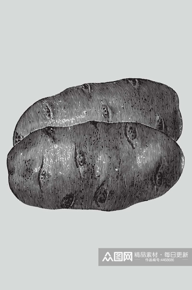 线条土豆黑色植物蔬菜素描矢量素材素材