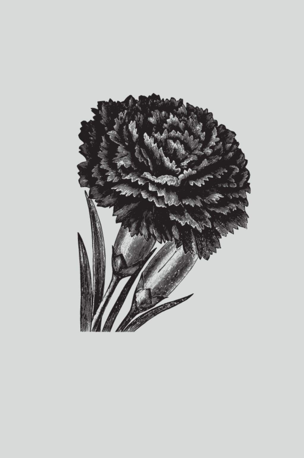 唯美黑色手绘植物蔬菜素描矢量素材素材