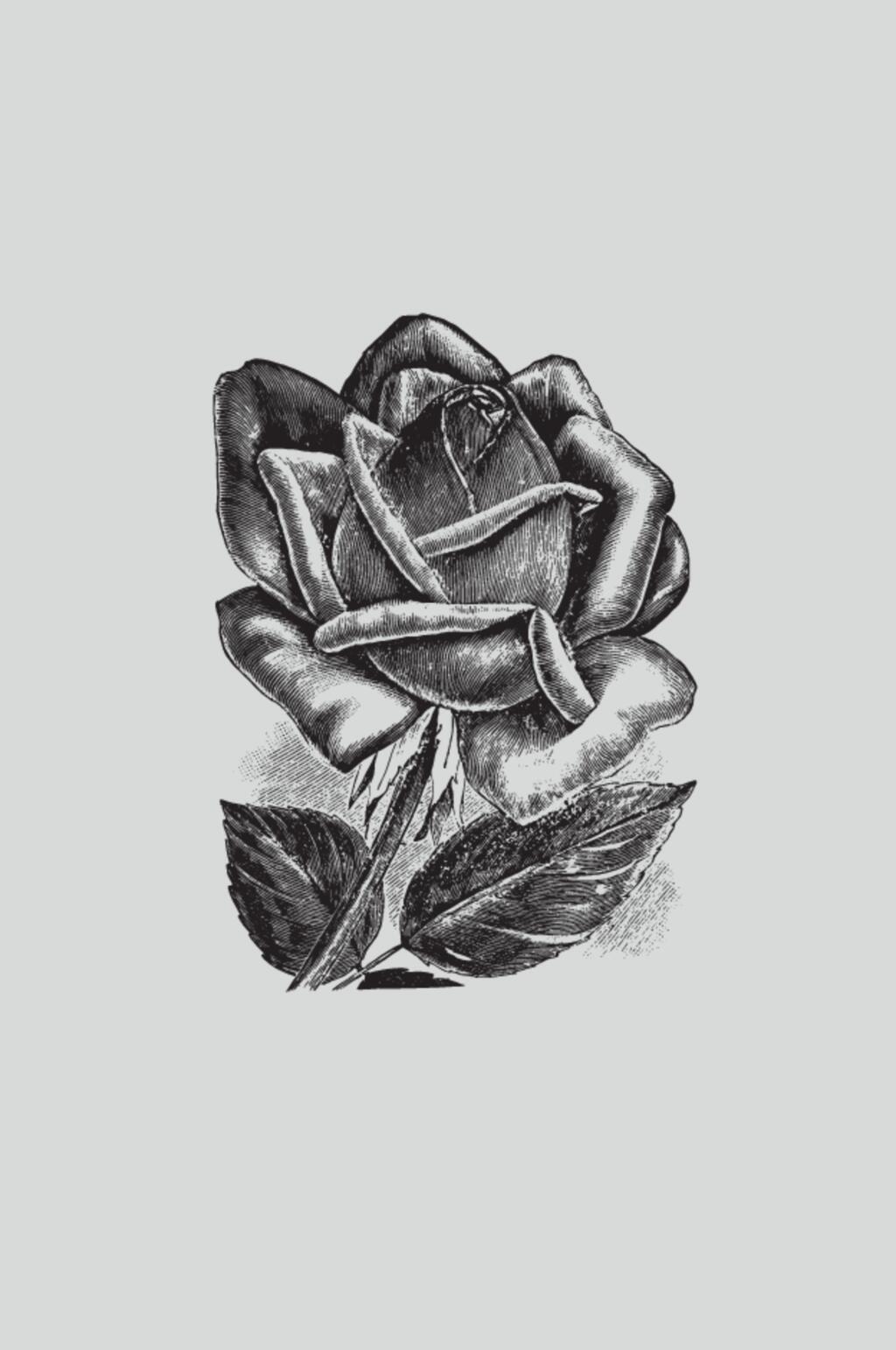 花朵叶子手绘植物蔬菜素描矢量素材素材