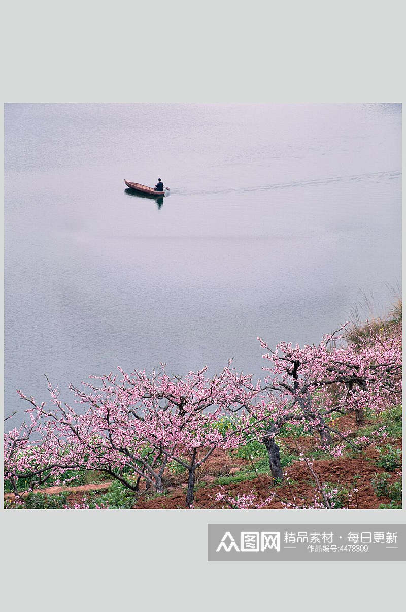 渔船桃花大自然风光摄影图素材