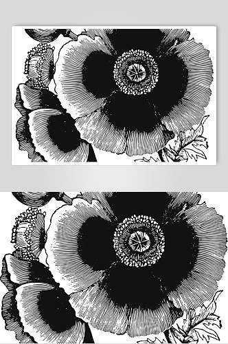 素雅简约线条植物花卉手绘矢量素材
