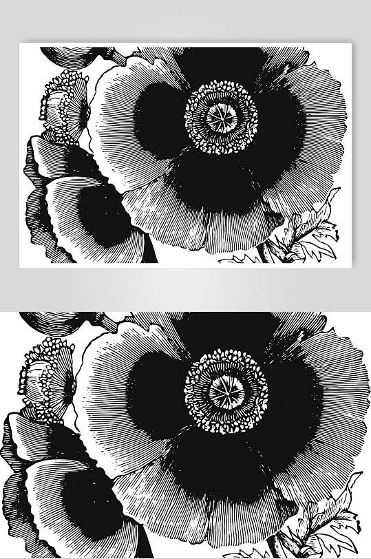 素雅简约线条植物花卉手绘矢量素材