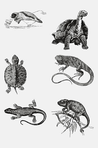 乌龟黑色动物昆虫素描手绘免抠素材