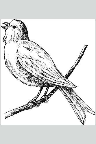 小鸟黑色简约动物素描手绘矢量素材