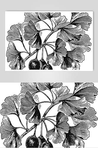 线条枫叶黑色植物花卉手绘矢量素材