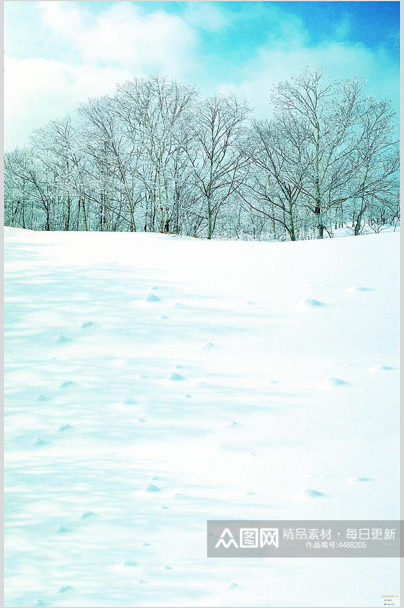 树木雪地近景高清拍摄背景图片素材