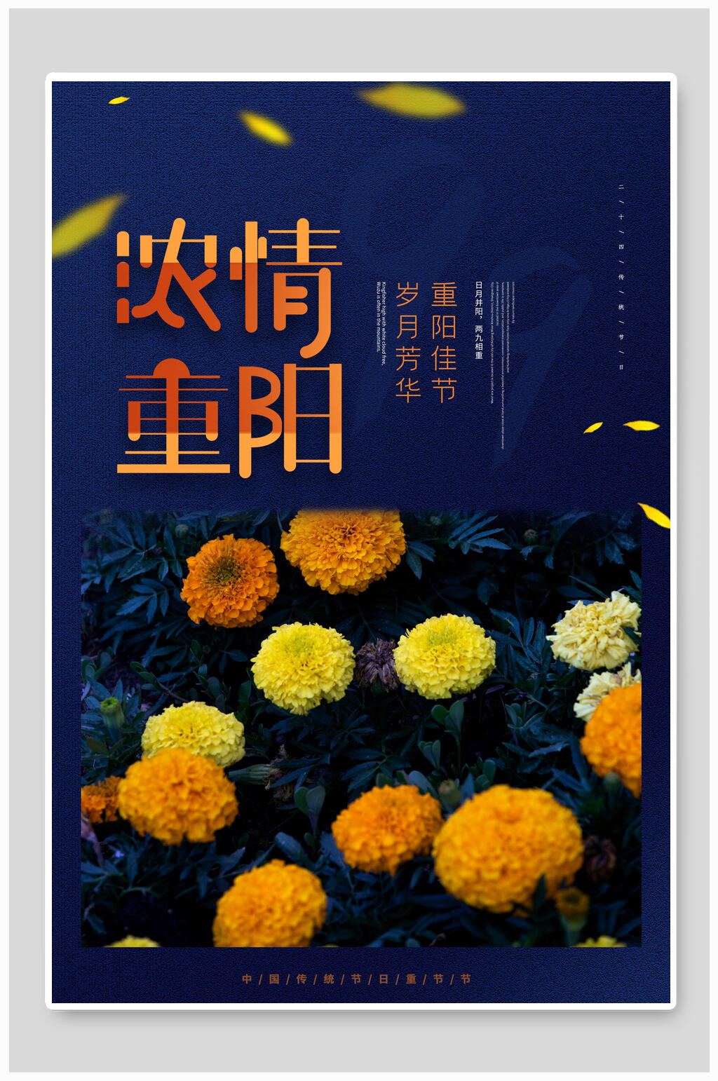 浓情重阳中国风重阳节海报素材