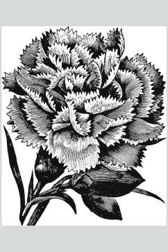 简约雅致唯美植物花卉手绘矢量素材