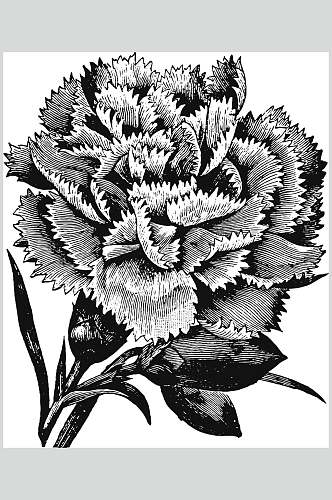 简约雅致唯美植物花卉手绘矢量素材