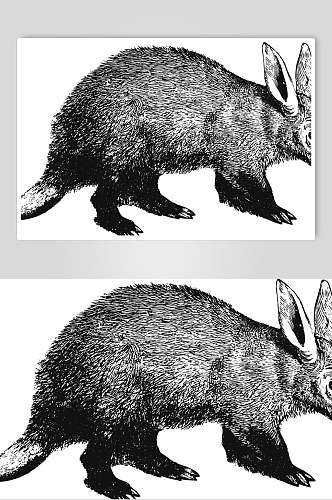兔子黑色清新动物素描手绘矢量素材