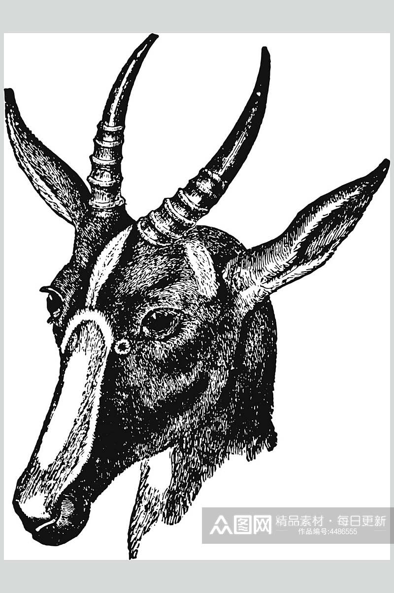羊头黑色简约动物素描手绘矢量素材素材