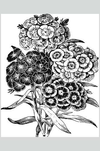 黑色叶子简约植物花卉手绘矢量素材