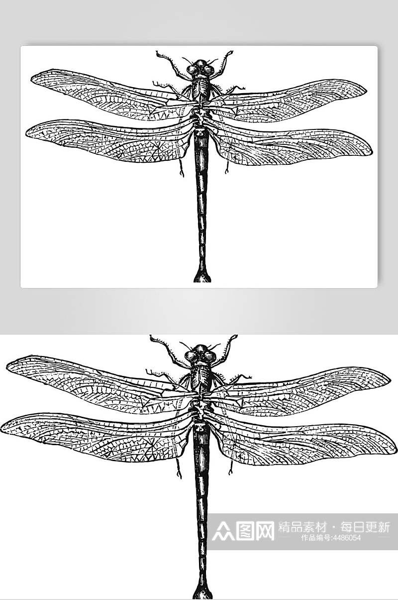 蜻蜓黑色简约动物素描手绘矢量素材素材