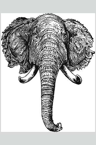 大象动物素描手绘矢量素材