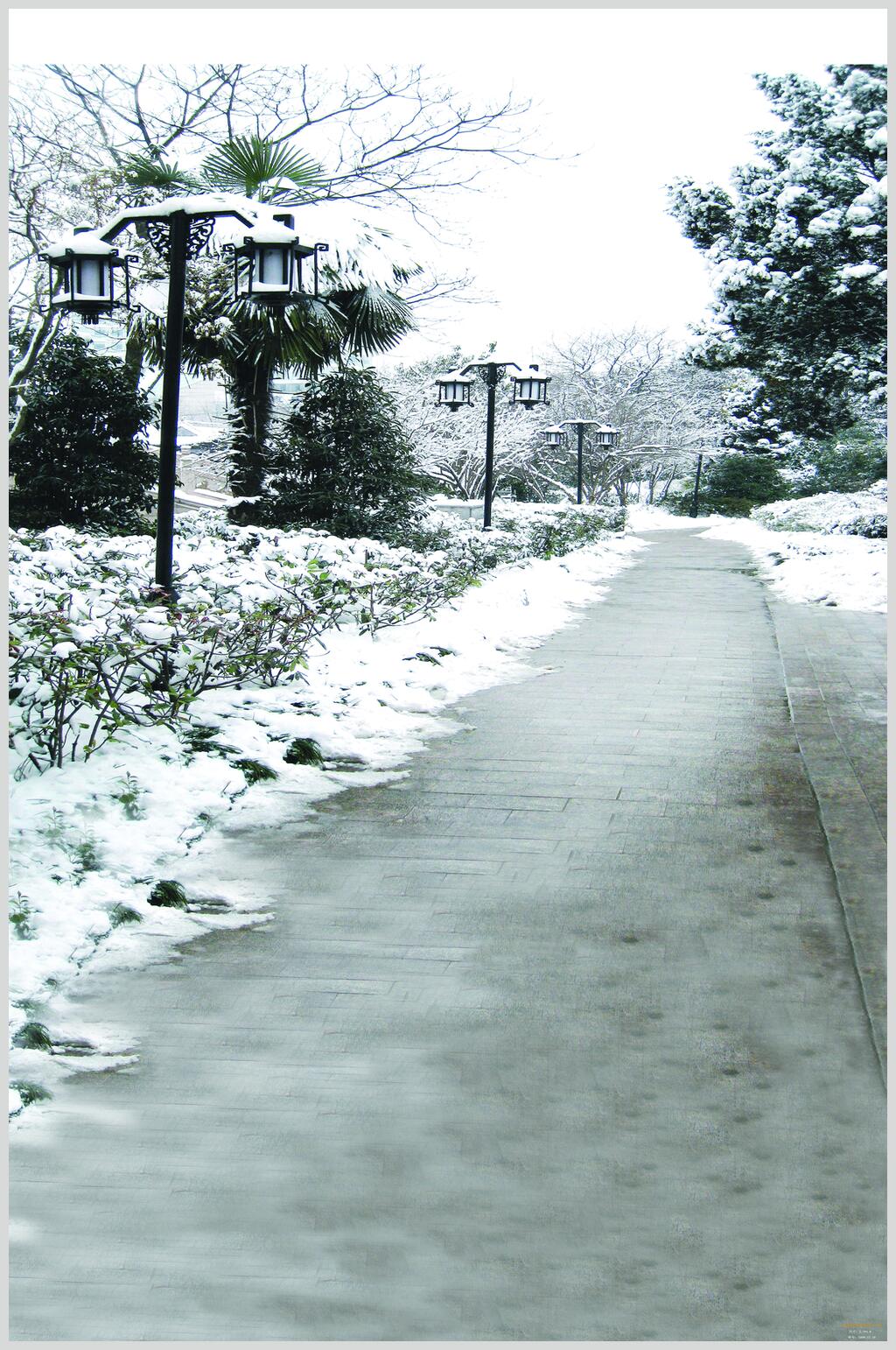 雪地拍摄背景图片素材