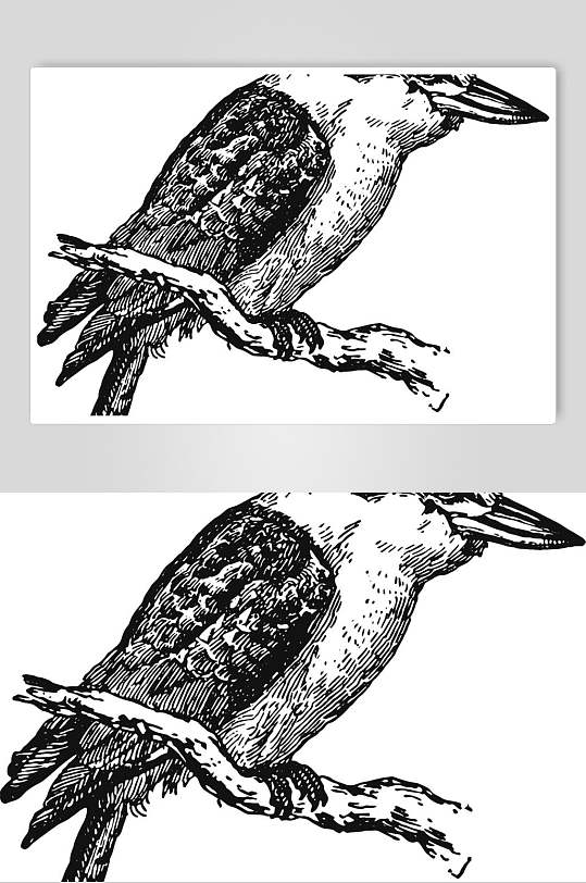 小鸟黑色清新动物素描手绘矢量素材