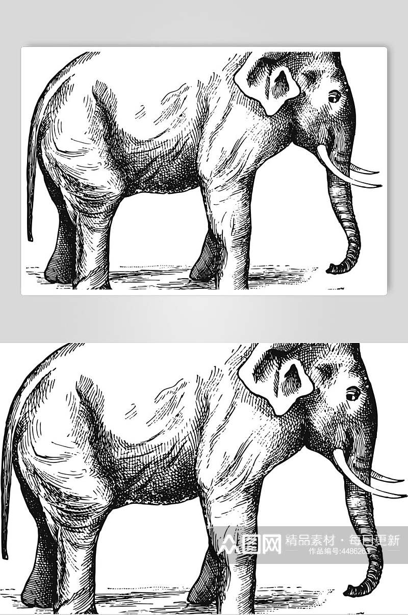 大象黑色简约动物素描手绘矢量素材素材
