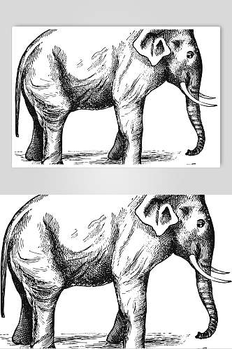 大象黑色简约动物素描手绘矢量素材