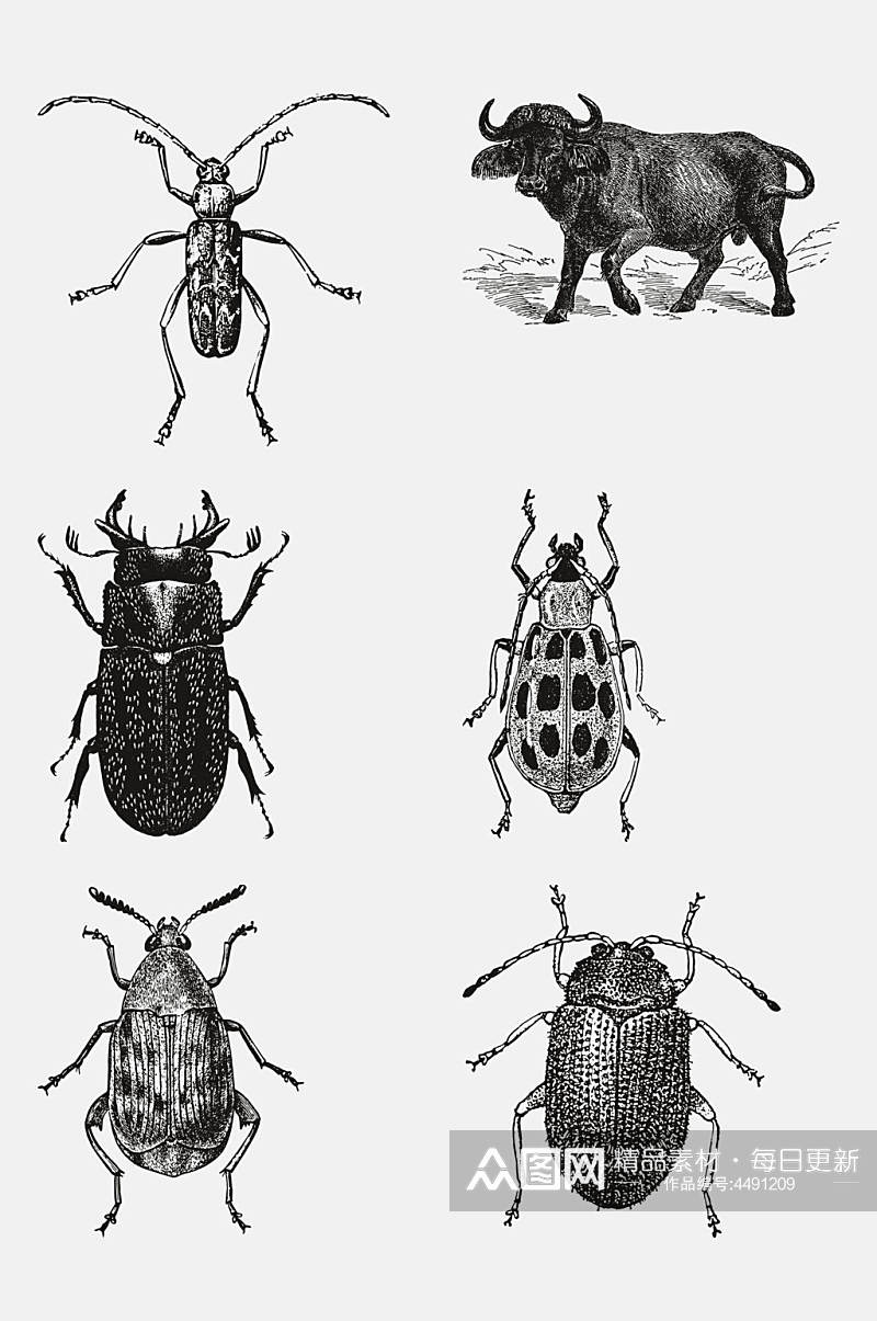 牛黑色动物昆虫素描手绘免抠素材素材