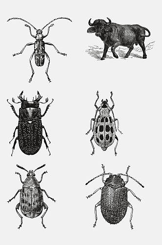 牛黑色动物昆虫素描手绘免抠素材