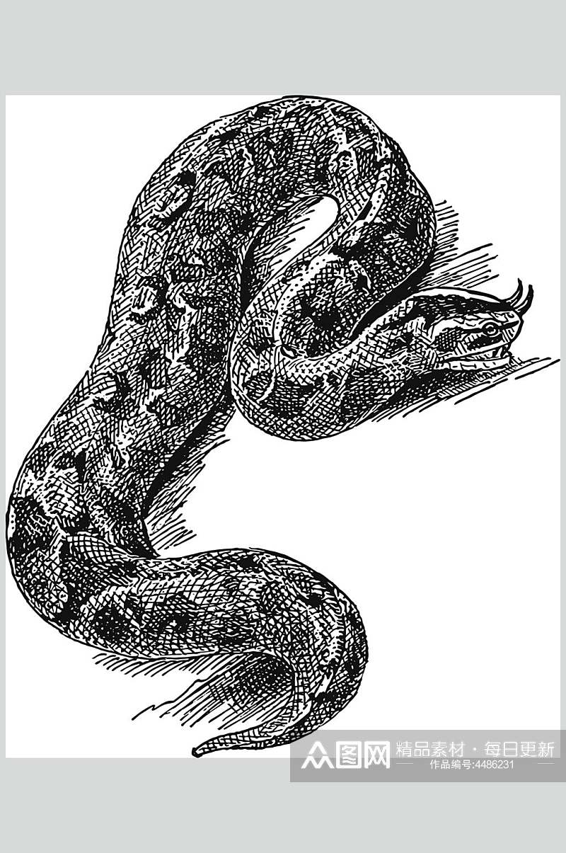 蛇黑色简约风动物素描手绘矢量素材素材