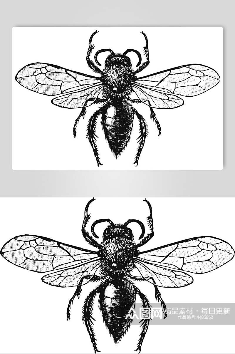 翅膀昆虫简约动物素描手绘矢量素材素材