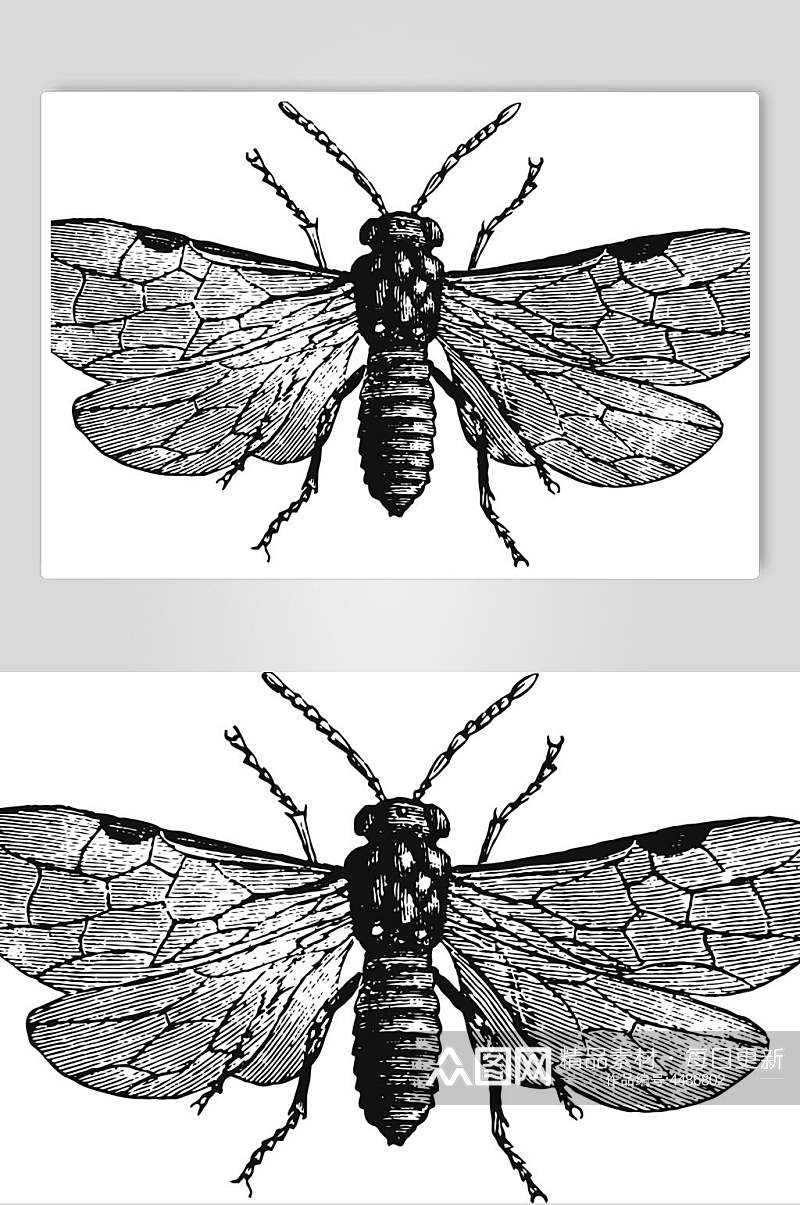 翅膀黑色简约动物素描手绘矢量素材素材
