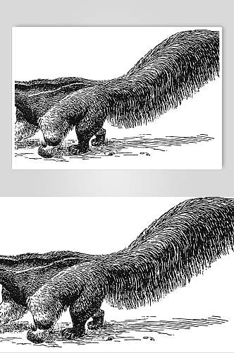 简约尾巴动物素描手绘矢量素材