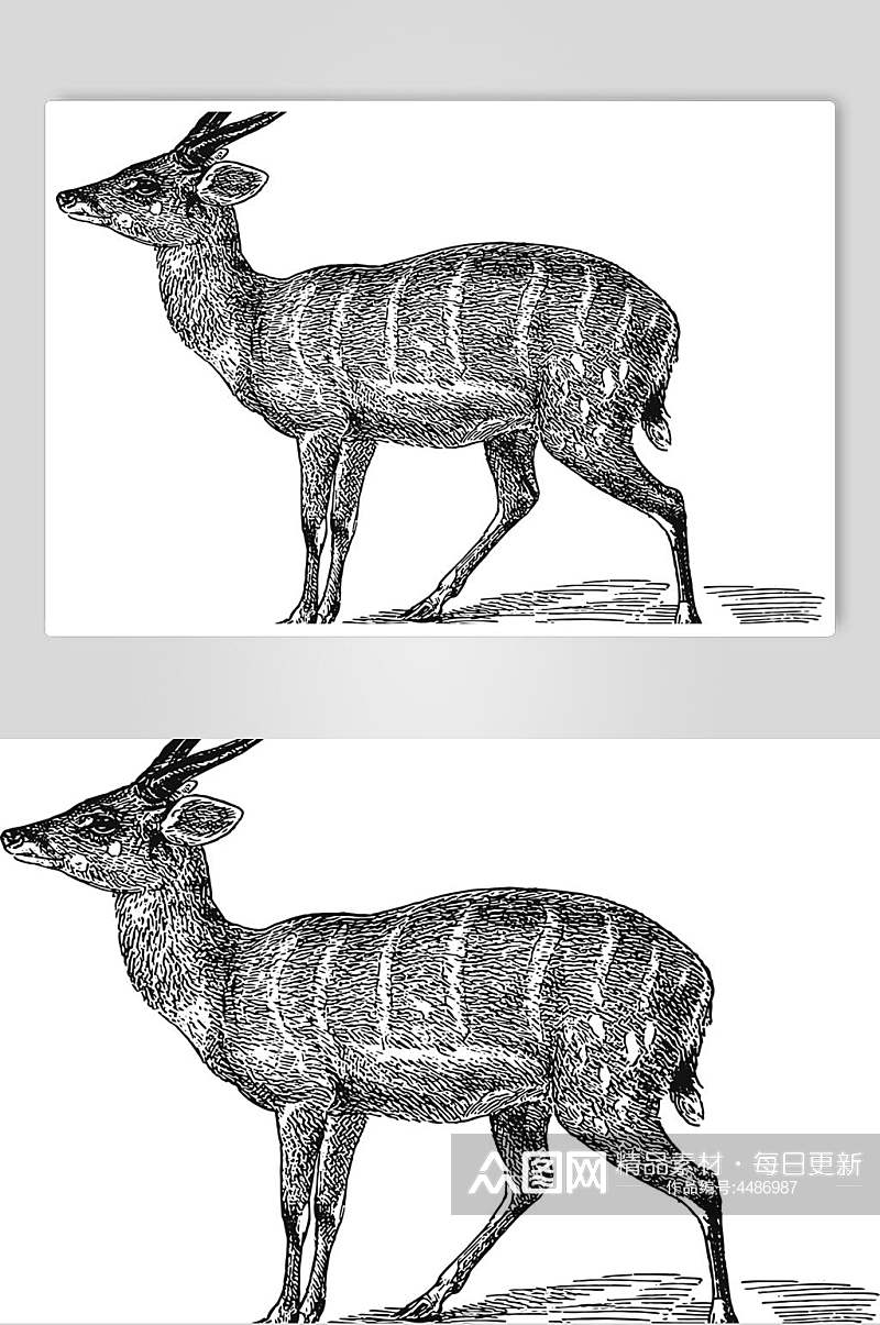 羚羊黑色简约动物素描手绘矢量素材素材