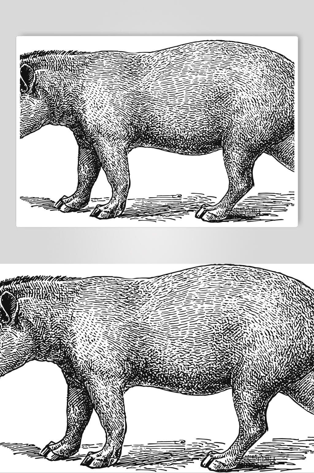 线条黑色身体动物素描手绘矢量素材素材