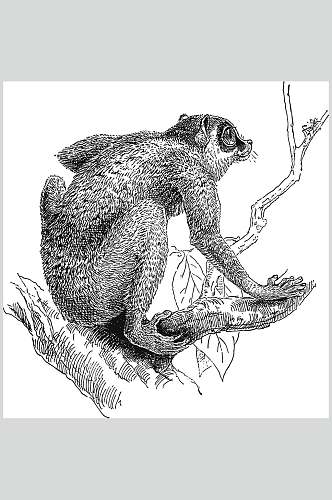 猴子黑色树枝动物素描手绘矢量素材