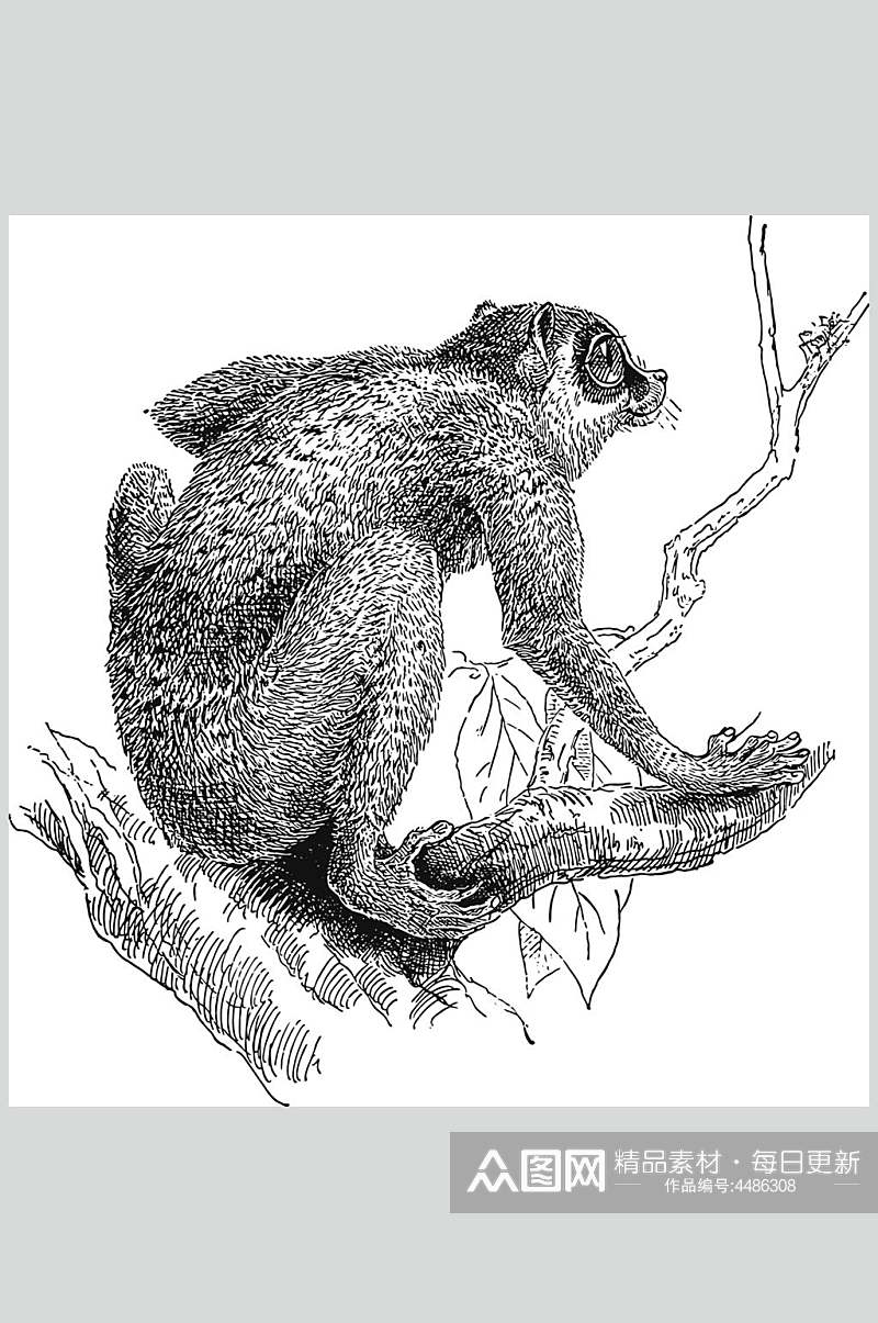 猴子黑色树枝动物素描手绘矢量素材素材