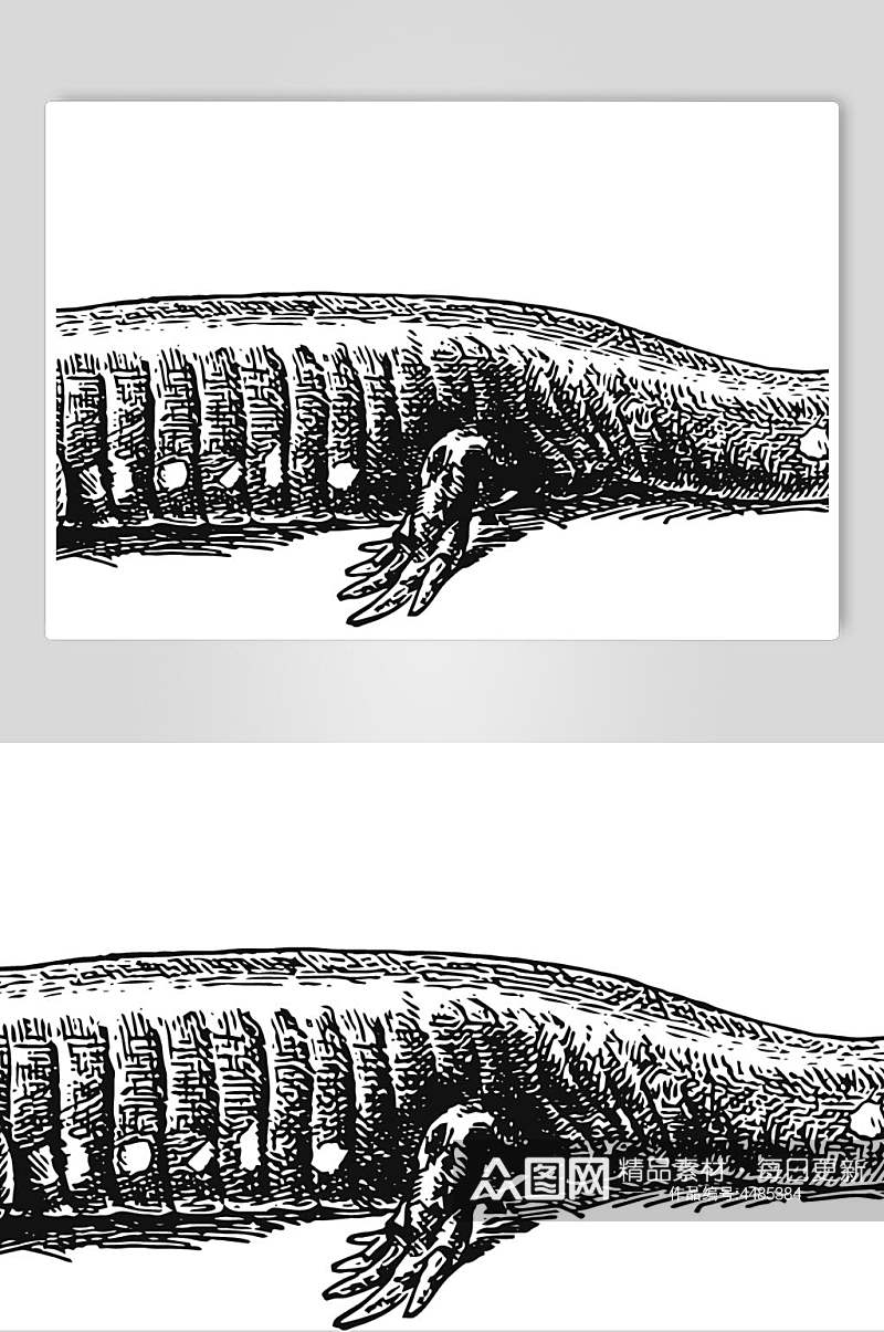 蜥蜴动物素描手绘矢量素材素材