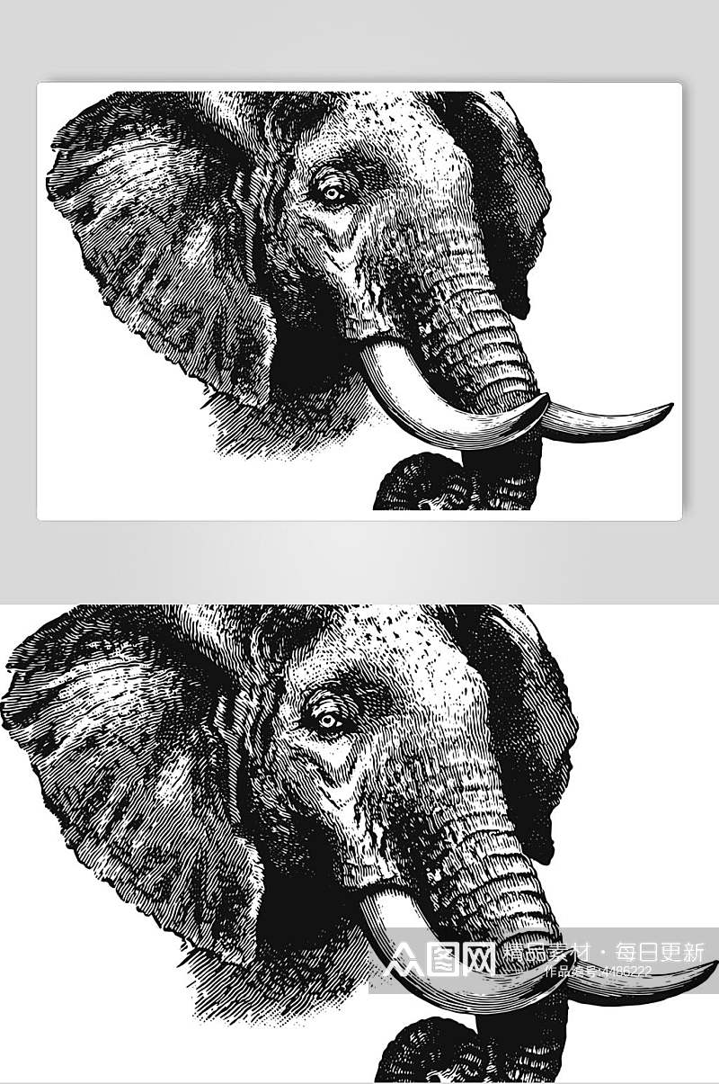 大象褐色简约动物素描手绘矢量素材素材