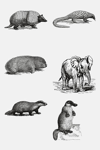 大象时尚动物昆虫素描手绘免抠素材