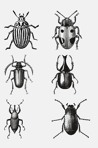 黑色简约动物昆虫素描手绘免抠素材