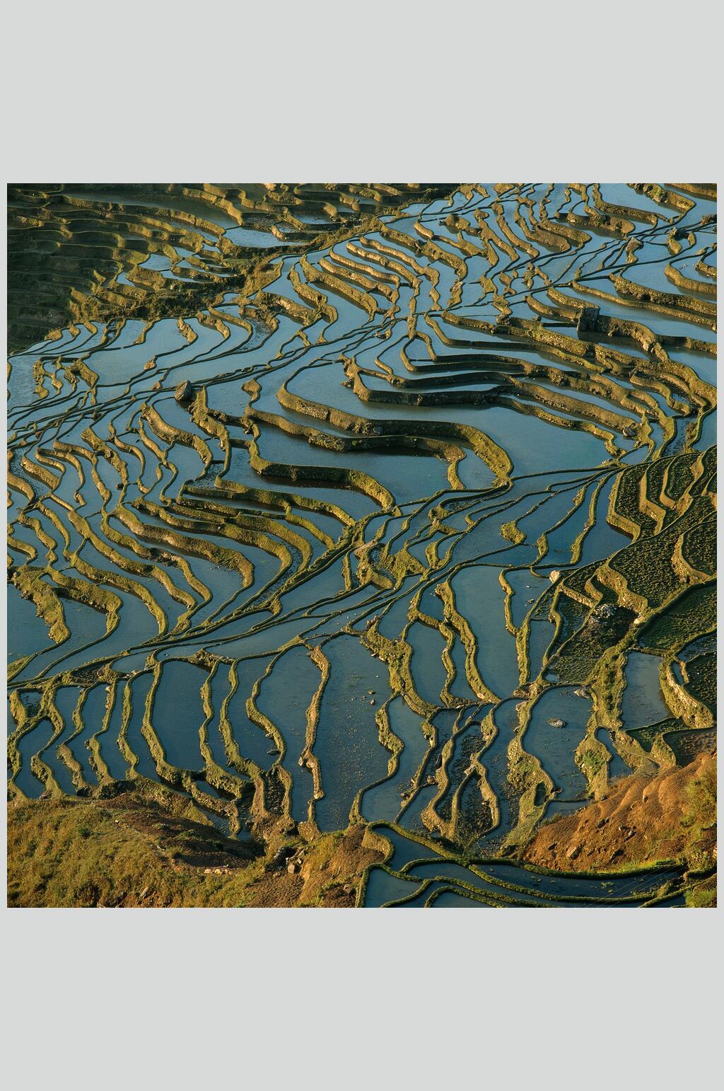大气梯田大自然风光摄影图素材