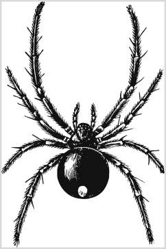 黑色昆虫简约动物素描手绘矢量素材