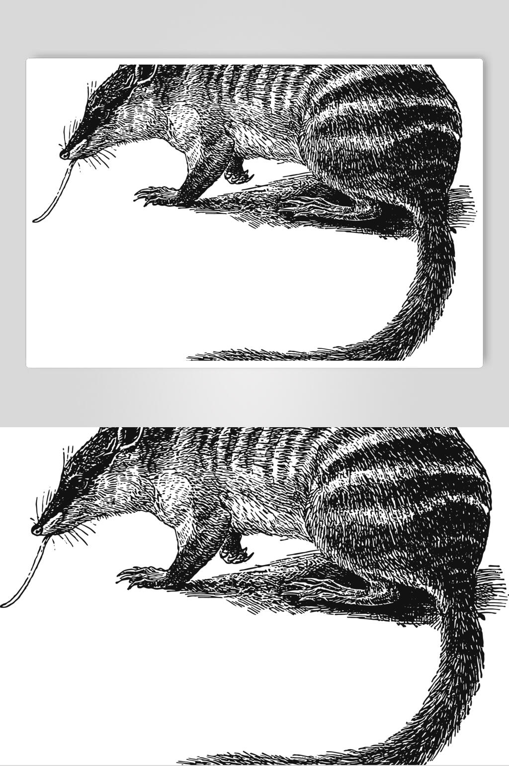 老鼠黑色简约动物素描手绘矢量素材
