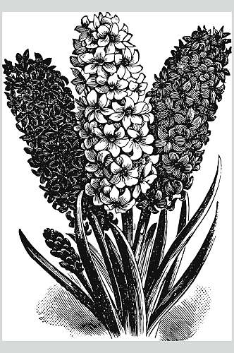 黑色植物花卉手绘矢量素材