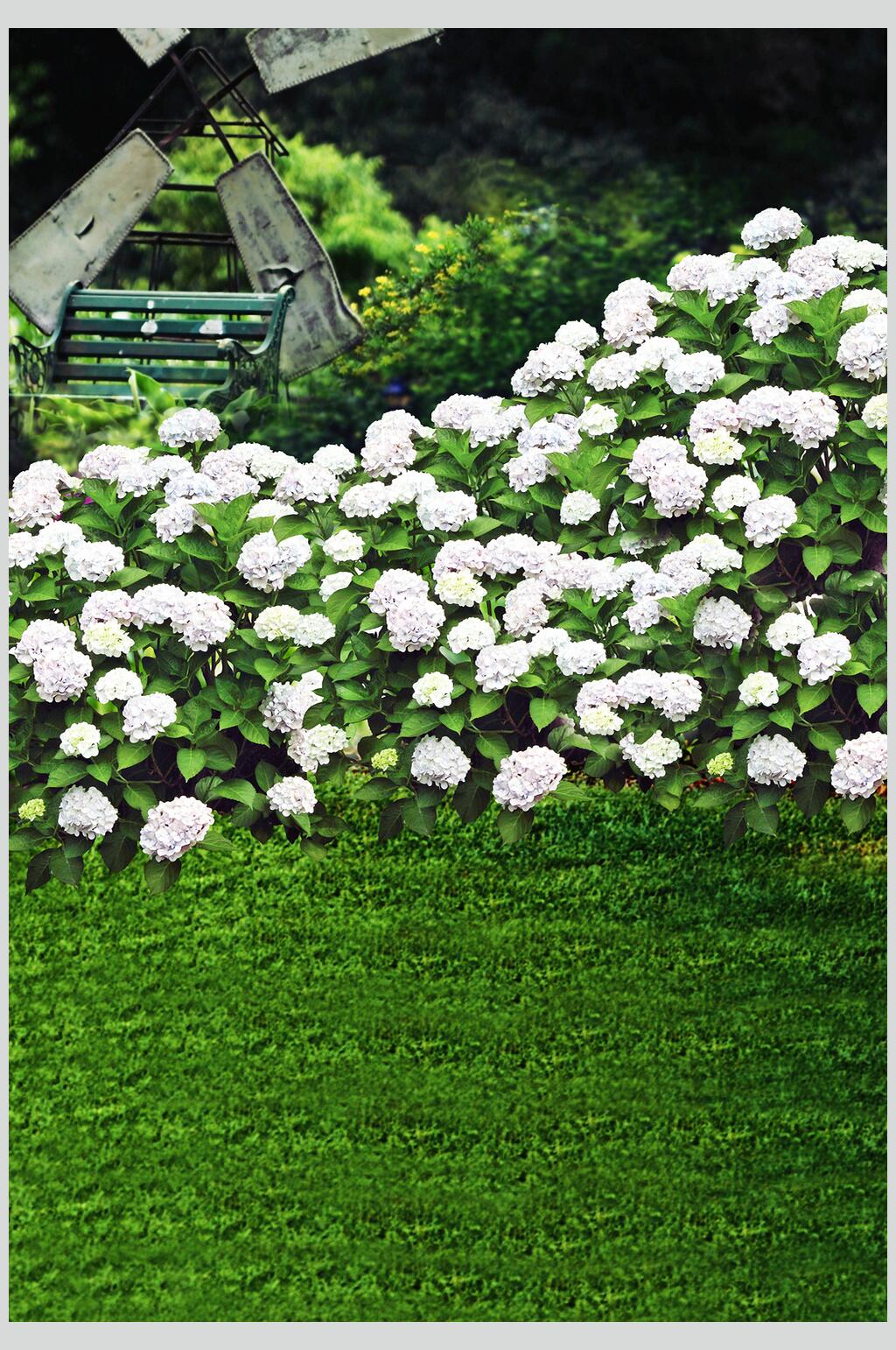 草地白花好看拍照背景图片素材