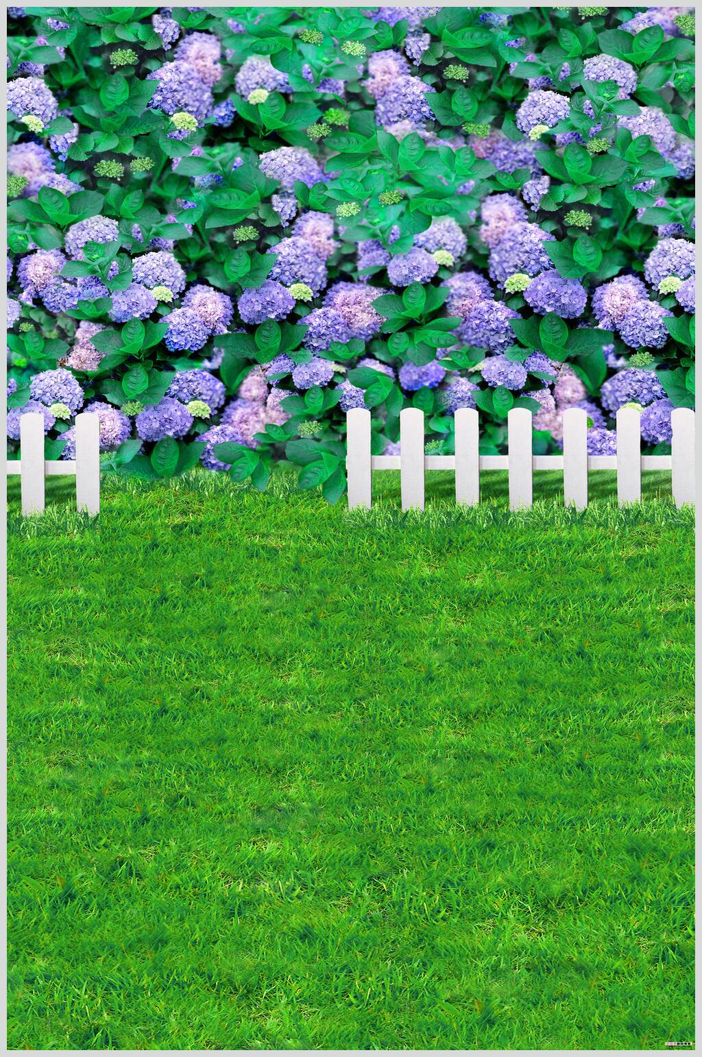 紫色鲜花花卉背景摄影图素材